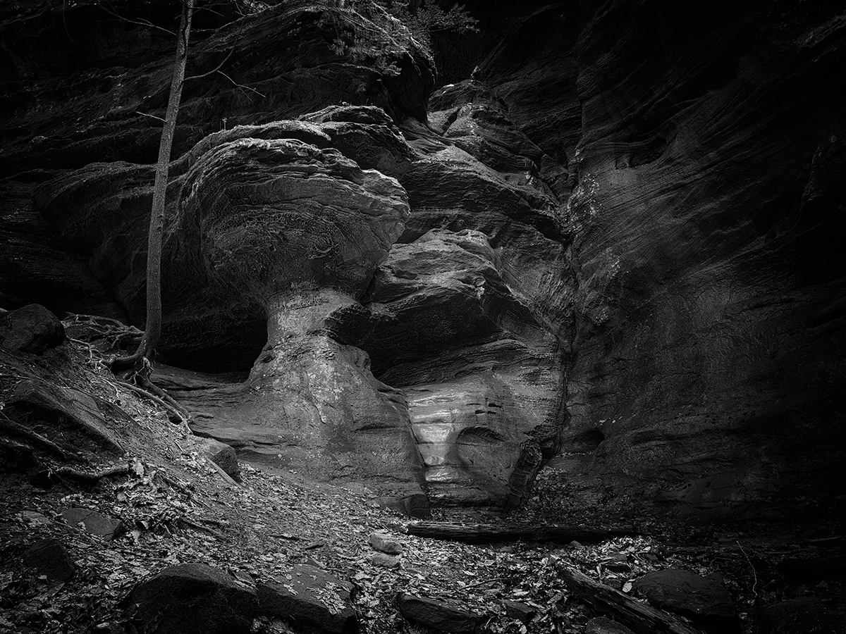 Wondering the Mystic