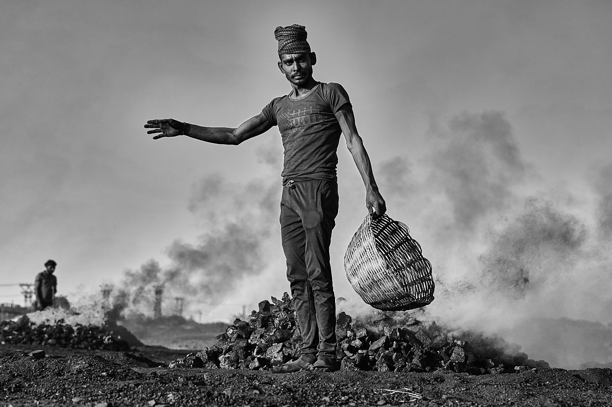 Life Above the Burning Earth