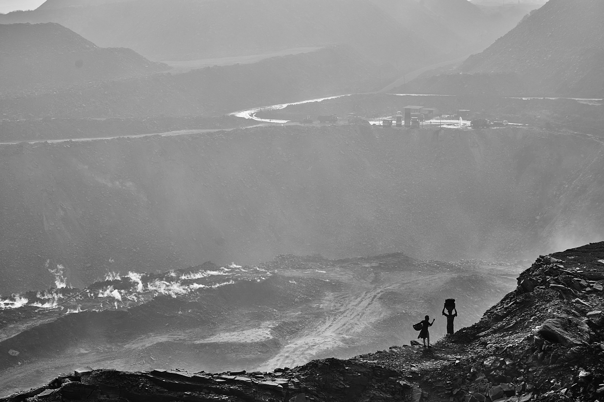 Life Above the Burning Earth