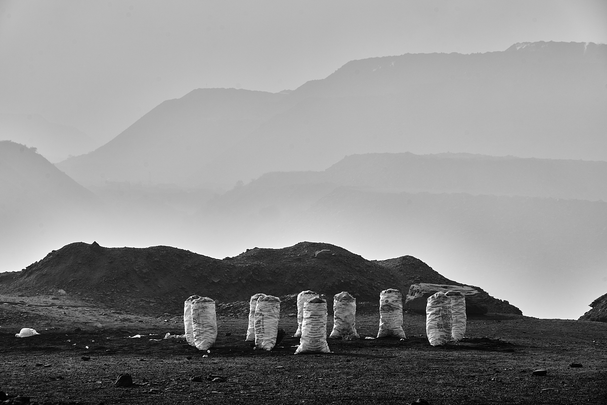 Life Above the Burning Earth