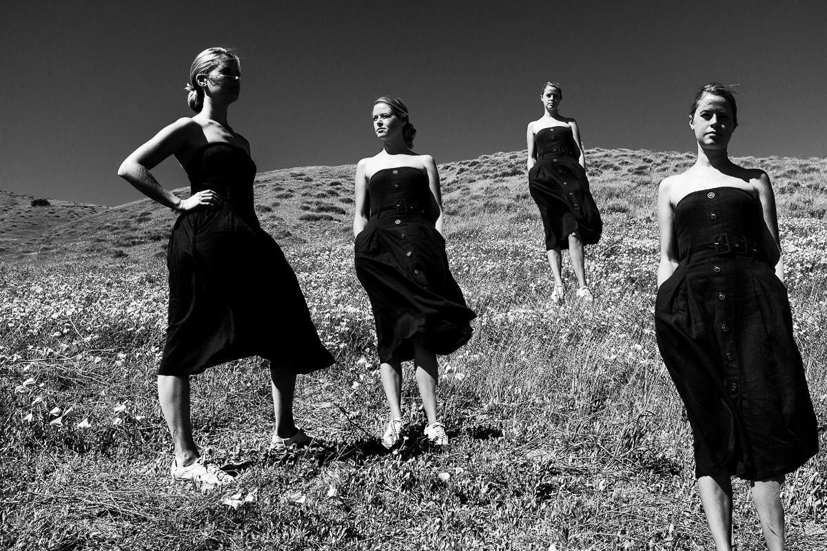 The Lady in the Black Dress