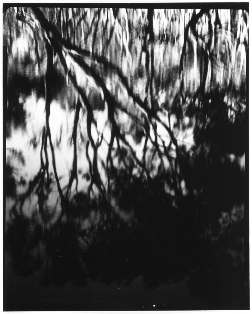 (Motus in Silentio) - IN SITU