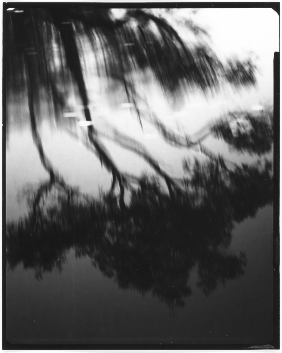 (Motus in Silentio) - IN SITU