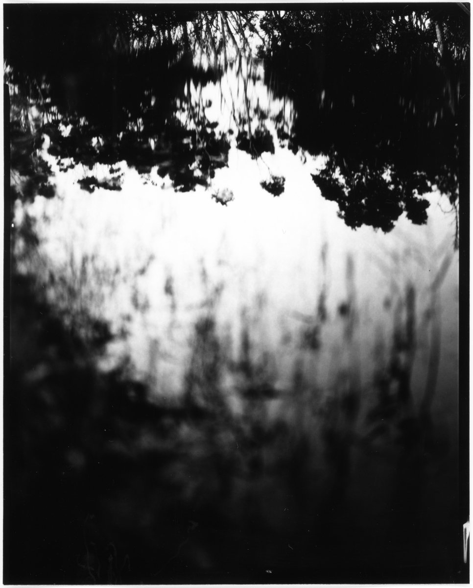 (Motus in Silentio) - IN SITU