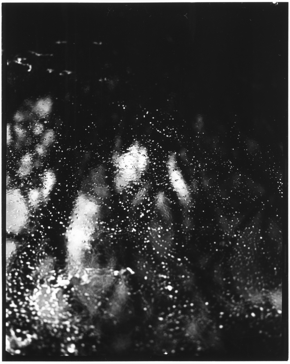 (Motus in Silentio) - IN SITU