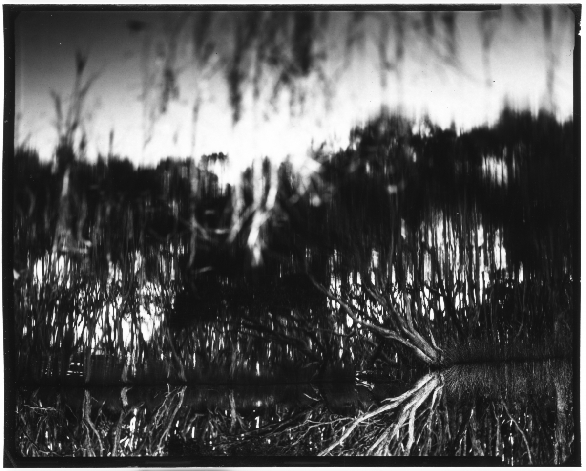 (Motus in Silentio) - IN SITU