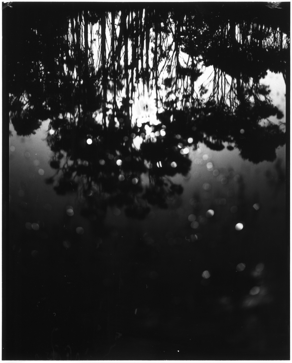 (Motus in Silentio) - IN SITU