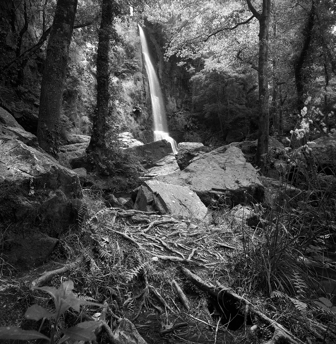 PRINCIPALITY OF ASTURIAS (Spain)