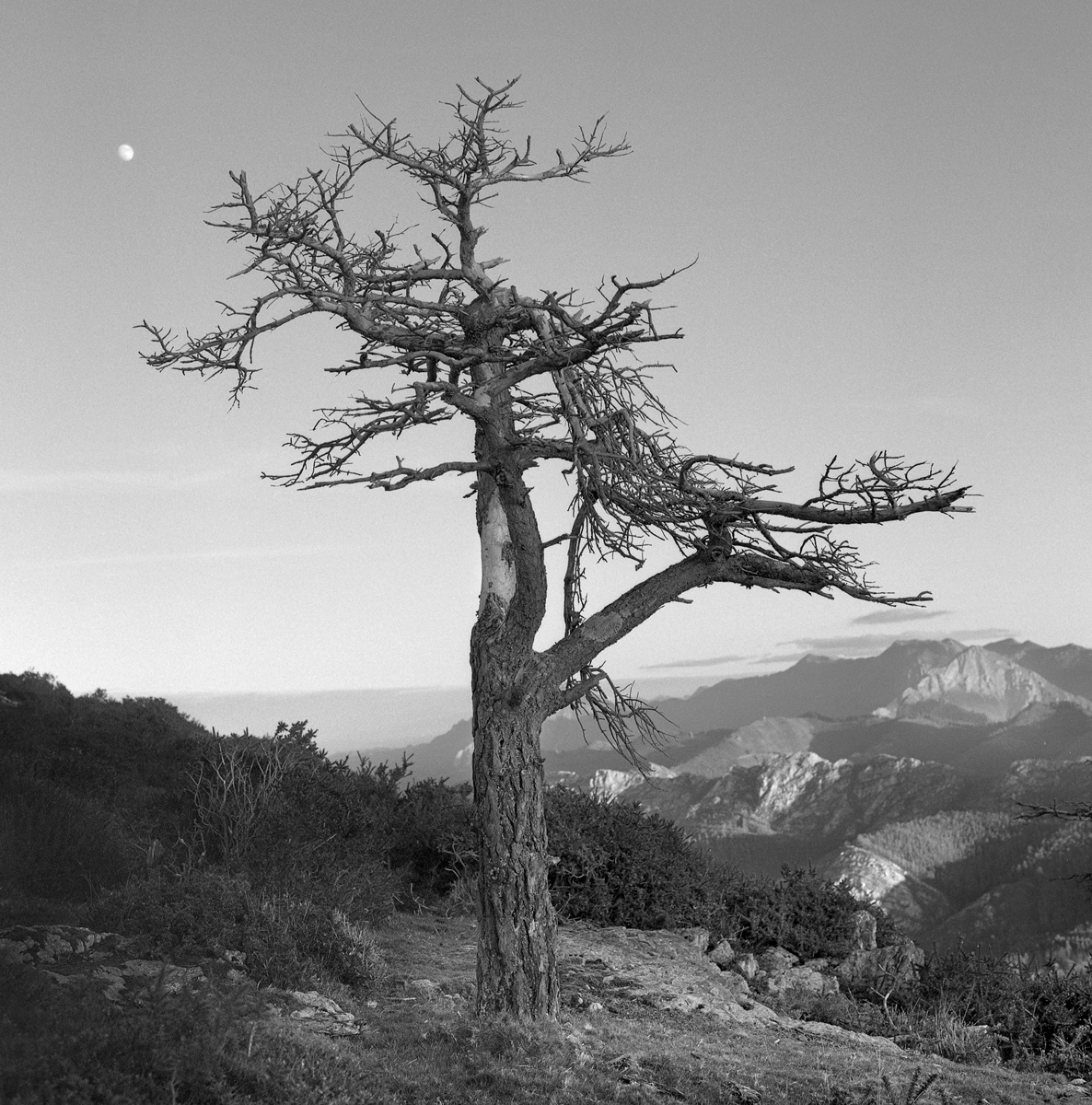 PRINCIPALITY OF ASTURIAS (Spain)