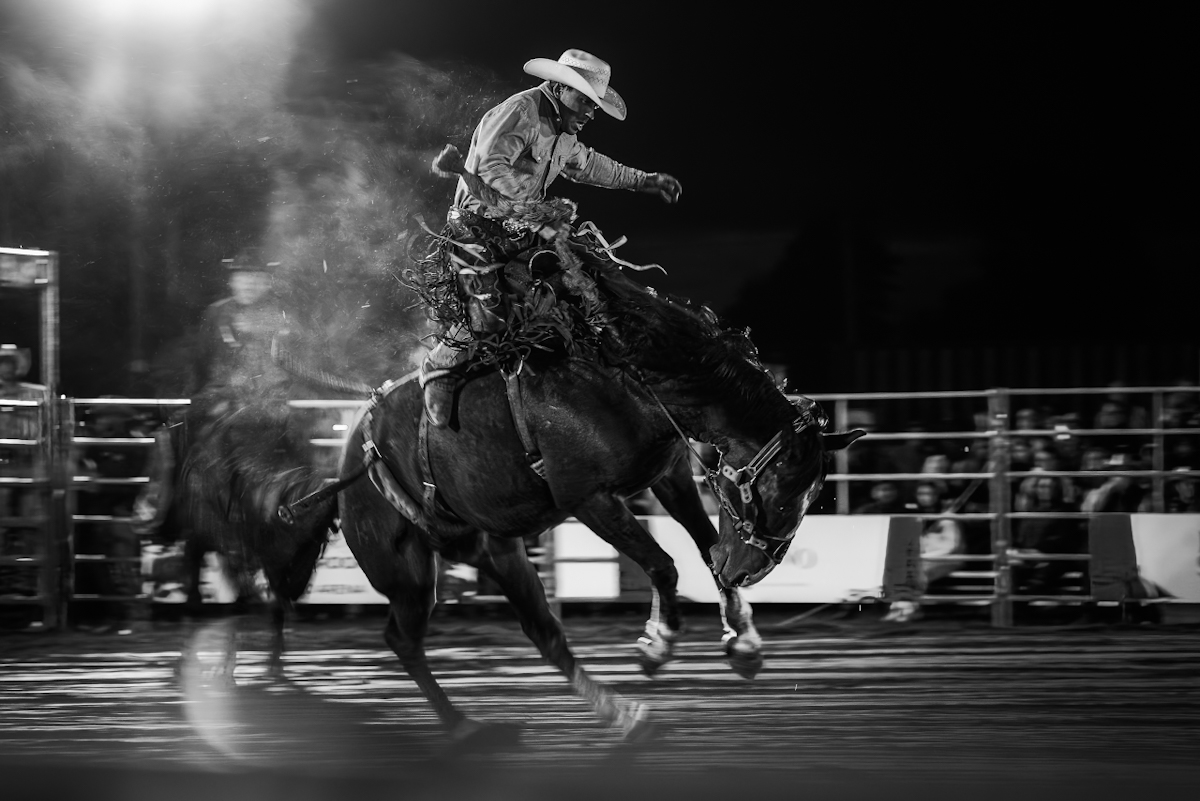 My First Rodeo