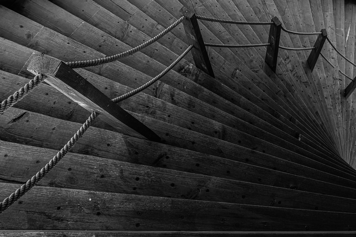 Disorientation