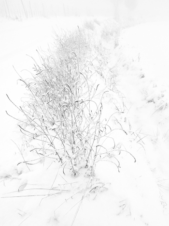 Landscapes enclosed in delicate gossamer phials