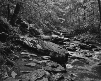 The Falls Trail at Ricketts Glen.