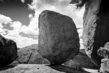 Girraween Landscape Forms