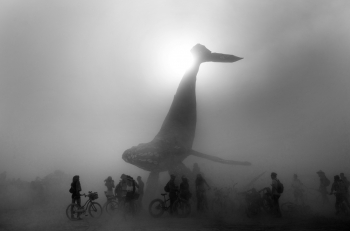 Burning Man – The Space Whale