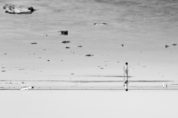 Reflections. Parallel universe.