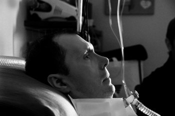 I girasoli fioriscono anche d'inverno ...