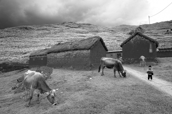 Learning for Survival