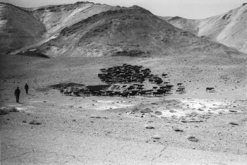 From Tajikistan to Afghanistan