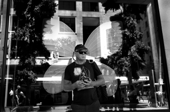 The Pursuit of Happenstance