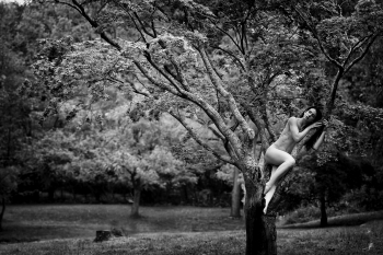Treescape with Nude Model