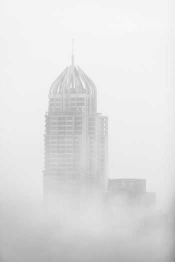 Brouillard libéral / Liberal fog