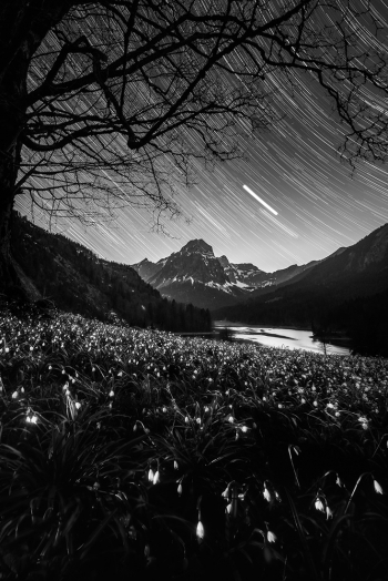 Star trails above Obersee