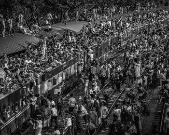 Bengalese on the rails