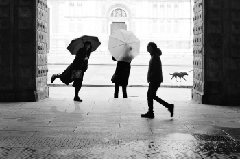 Rain in Bologna