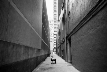 The breath in the stress