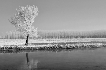 winter in the Po valley