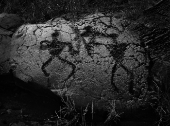 Hawain Petroglyphs 