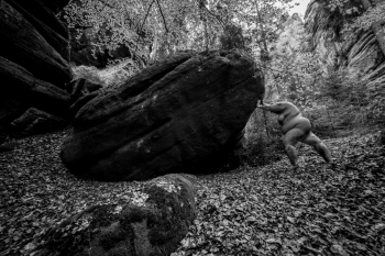 the story of one rock