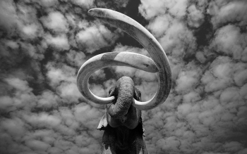 WHEN MAMMOTHS RULED THE EARTH