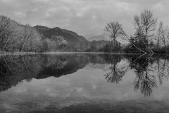 The quiet of the river