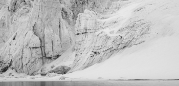 The Arctic Wanderers