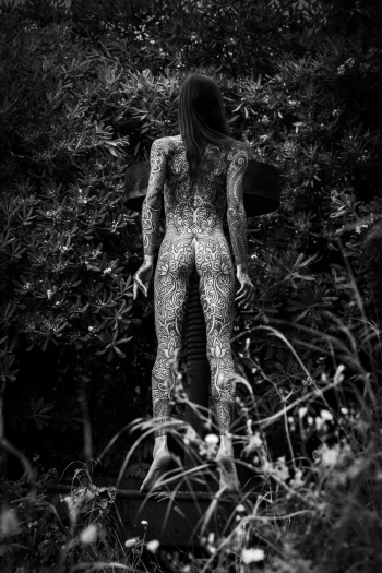 Lizard (Connected to Nature)