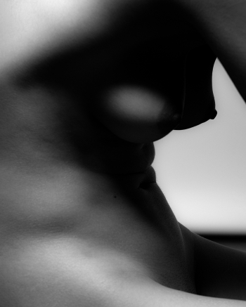 Landscape of a skin.