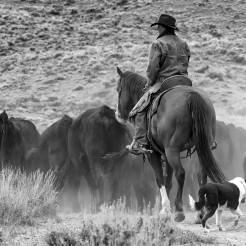 Wyoming and Montana Cowgirls, The Legend made Women
