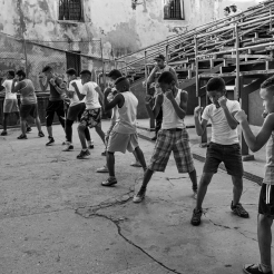 Boxing in Cuba, A Way of Life